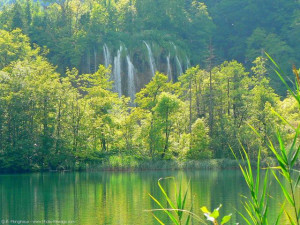 Хорватия # Трудолюбивые водопады Плитвичского парка-pic02