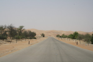 Абу Даби Аль Айн # Оазис Лива – рай в пустыне-pic04